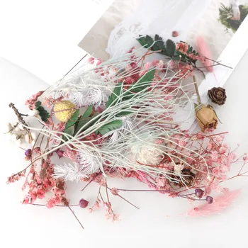 1 Kutija Mix suhog cvijeća za Nakit od Smole Suhe Biljke Prešani Cvijeće Izrada Obrt suhog cvijeća Kutija za DIY Silikonska Forma